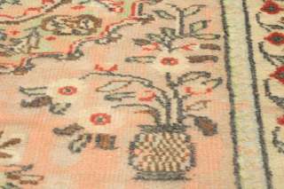   Floral Anatolian Turkish Wool Oriental Area Rug Carpet 6x10  