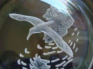 James Wyeth Crystal Art Glass Etched Plate Bird Ocean  