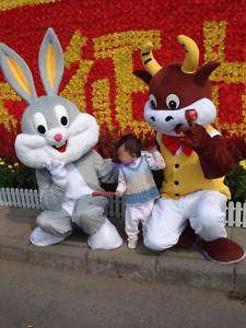 cow and bunny bug rabbit mascot Costume   