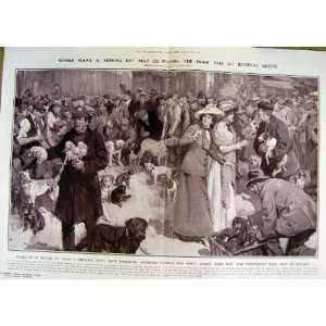 1912 Dogs Fair Bethnal Green London Mart Pet Animals