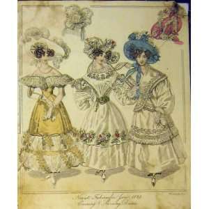  1829 Womens Fashion Evening Morning Dresses Hat Colour 