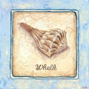  Whelk, Fine Art Canvas Transfer by Sylvan Lake Collections 