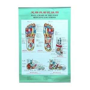  wall chart foot reflexology (with manual) (9787101297591 