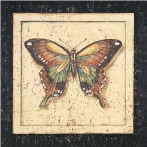   11043 Ancient Butterfly III Outdoor Art   Marty Joseph Size 12 x 12