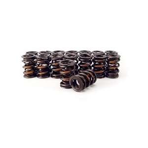    Competition Cams 919 16 DUAL VALVE SPRINGS 1.550 Automotive