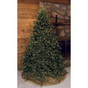  GKI Bethlehem 6.5 Hunter Fir Prelit Christmas Tree