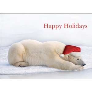  Relaxing Polar Bear   100 Cards Toys & Games