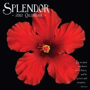  Splendor 2012 Wall Calendar