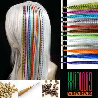   Colors 100 500 1000 Grizzly Synthetic 16 Feather Hair Extensions Kit