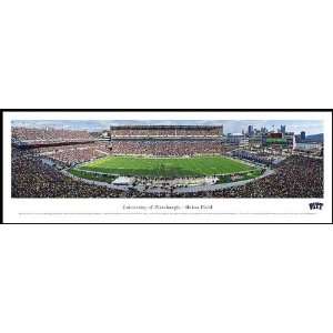   Panthers   Heinz Field   Wood Mounted Poster Print