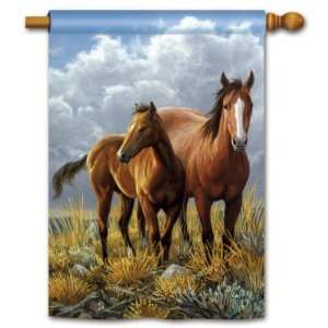 Magnet Works, Ltd. 100% All Weather Polyester High Plains Horses Stnd 