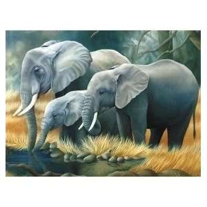  3D Image Elephant Plastic Hard Cardboard Poster, measured 