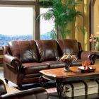 Coaster Princeton Leather Sofa by Coaster Furniture