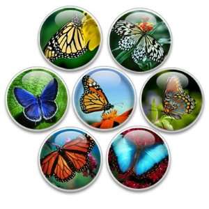   Decorative Push Pins or Magnets 7 Small Butterflies