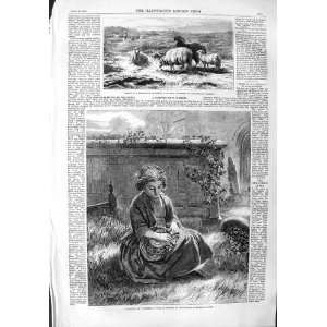   1859 SHEEP COUNTRYSIDE LITTLE GIRL CHURCH HAT ROBERTS