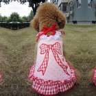   SZ08 JDGZ 4 Cute Pink Plaid & Bow Tie Design Dress for Dogs   Size 4