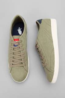 UrbanOutfitters  Sparrow Canvas Tennis Sneaker