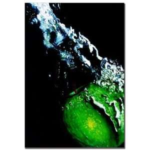  Apple Splash by Roderick Stevens, Canvas Art   32 x 22 