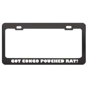 Got Congo Pouched Rat? Animals Pets Black Metal License Plate Frame 