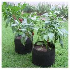 New Smart Pots for Container Gardening Cloth   3 Gallon  