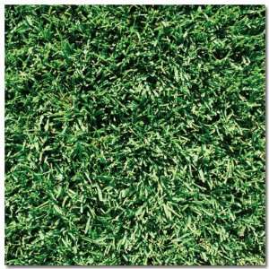  Grass Scrapbook Paper 