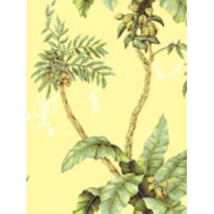  Wallpaper York By the Sea Jungle Boogie AC6153