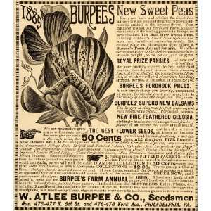  1889 Ad W. Atlee Burpee Flowers Pansies Sweet Peas 