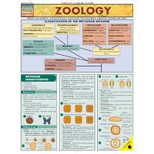  BarCharts  Inc. 9781572225497 Zoology  Pack of 3