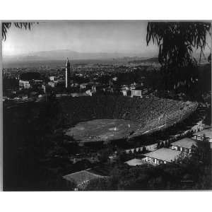   of California,Stadium,Crowd,Football Players