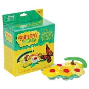  Insect Lore   Butterfly Feeder (Science) Toys & Games