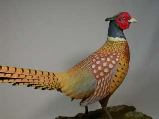 26 Ring necked Pheasant Orig Bird Carving/Birdhug  