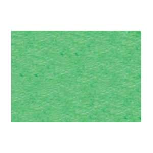   (Standard) Individual   Iridescent Emerald Green 811 Toys & Games