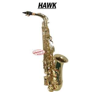  Hawk Student Gold Lacquered Alto Saxophone Outfit, WD S414 