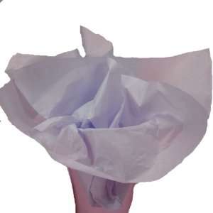  Blue Mist Wrap Tissue Paper 20 X 30   48 Sheets Health 