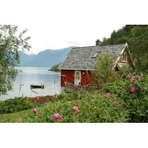  Cottage in Fjords, Flam, Norway   Peel and Stick Wall 