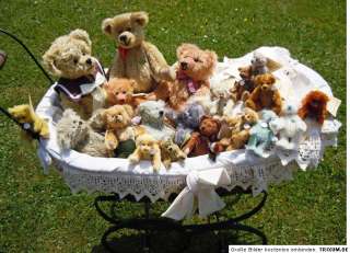 Teddybären Martinbären Mohair Sammlerbären Puppenwagen  