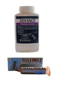 Carpenter Ant Control Kit Bait Advance & Maxforce  