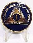 22 Year Bi Plate AA Alcoholic Recovery Medallion Coin  