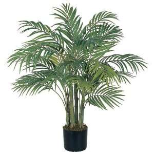 Areca Silk Palm Tree 3