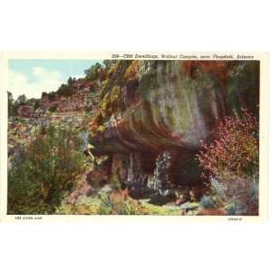 1930s Vintage Postcard Cliff Dwellings   Walnut Canyon   Flagstaff 