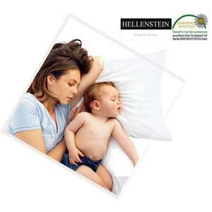 Hyundai Hmall HELLENSTEIN Premium Hungary Goose Pillow 50x70cm_93 
