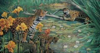 Family Affair 1000 Jigsaw Puzzle NEW Wildlife Tigers  