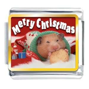 Animal Photo Christmas Hamster With Cookie Italian Charms 
