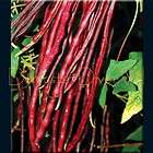 RED Yard Long BEANS Bean Asparagus Noodle 25 seed extra