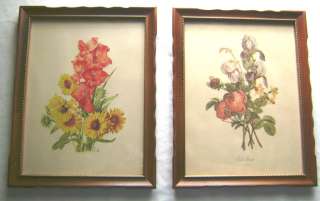 Vintage Framed Aquatint Botanical Prints by Prevost & Seguy Published 