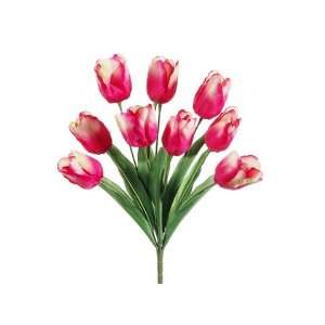  21.5 Tulip Bush x9 Two Tone Cerise (Pack of 12) Patio 