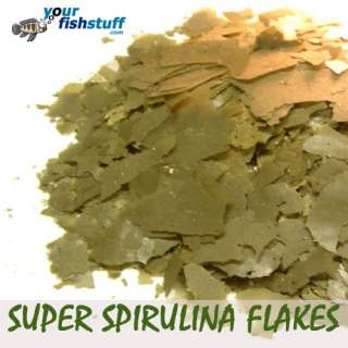 Your Fish Super Spirulina Flakes are made without any coloring or 