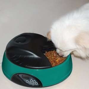   Days LCD Programmable Talking Automatic Pet Feeder Auto Cat Dog Dish