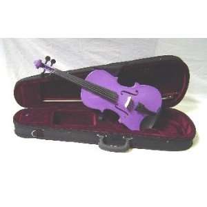   Carrying Case + Bow + Accessories   Purple Color Musical Instruments