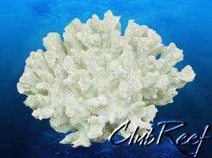 Cauliflower Coral Replica Reef Aquarium Decor Large  